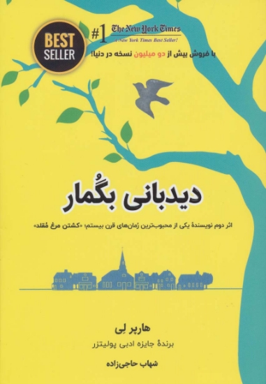 تصویر  دیدبانی بگمار (BEST SELLER)